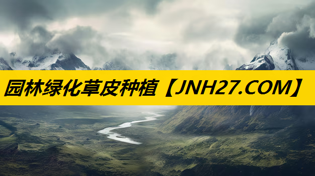 园林绿化草皮种植