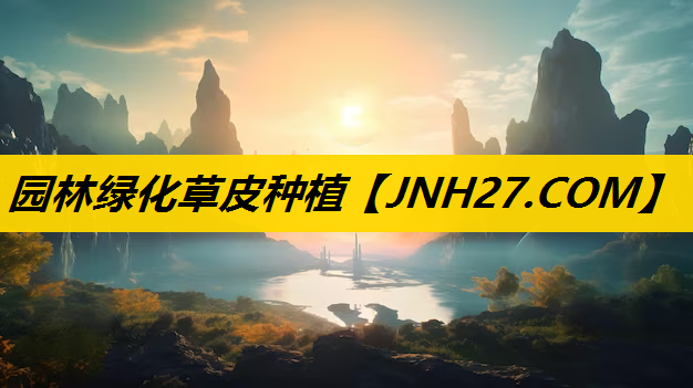 园林绿化草皮种植