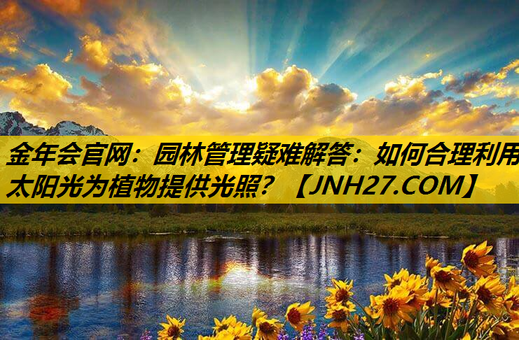 园林管理疑难解答：如何合理利用太阳光为植物提供光照？