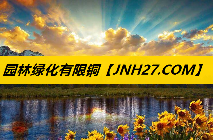 园林绿化有限铜