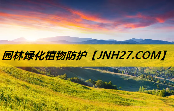 园林绿化植物防护