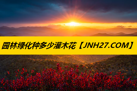 园林绿化种多少灌木花