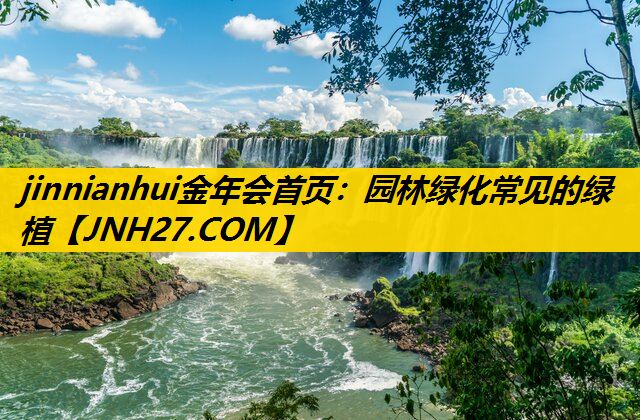 园林绿化常见的绿植