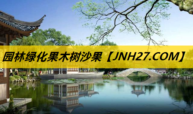 园林绿化果木树沙果