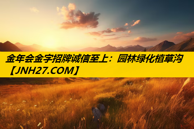 园林绿化植草沟