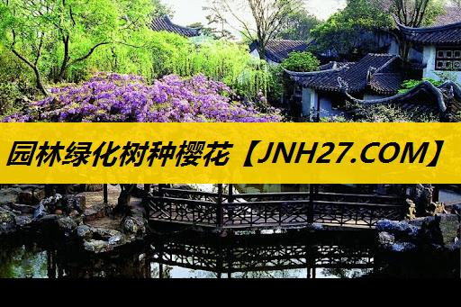 园林绿化树种樱花