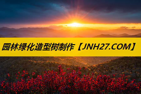园林绿化造型树制作