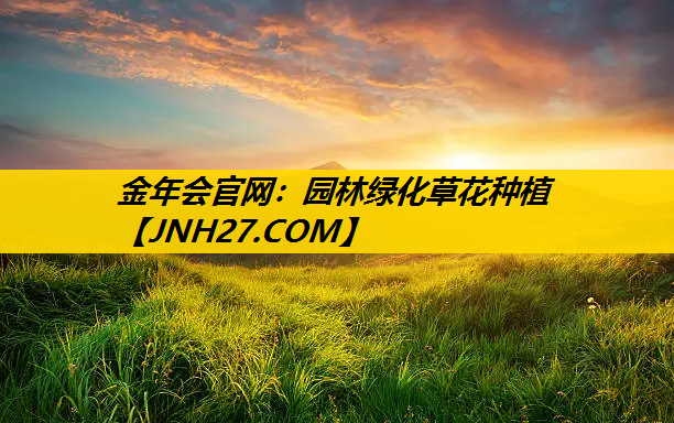 园林绿化草花种植
