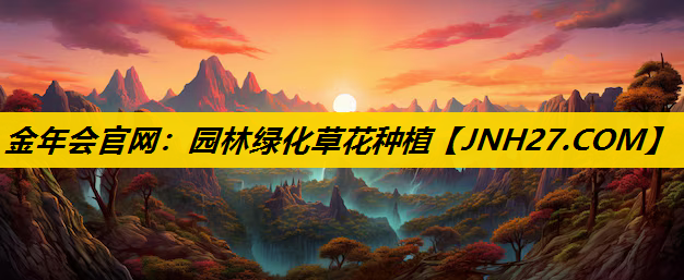 园林绿化草花种植