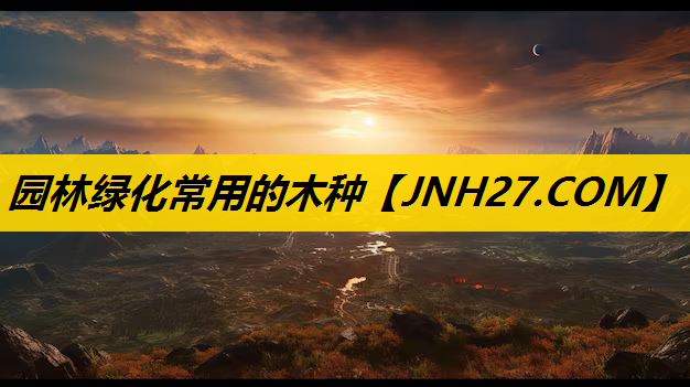 园林绿化常用的木种
