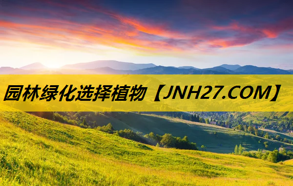 园林绿化选择植物