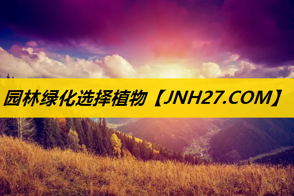 园林绿化选择植物