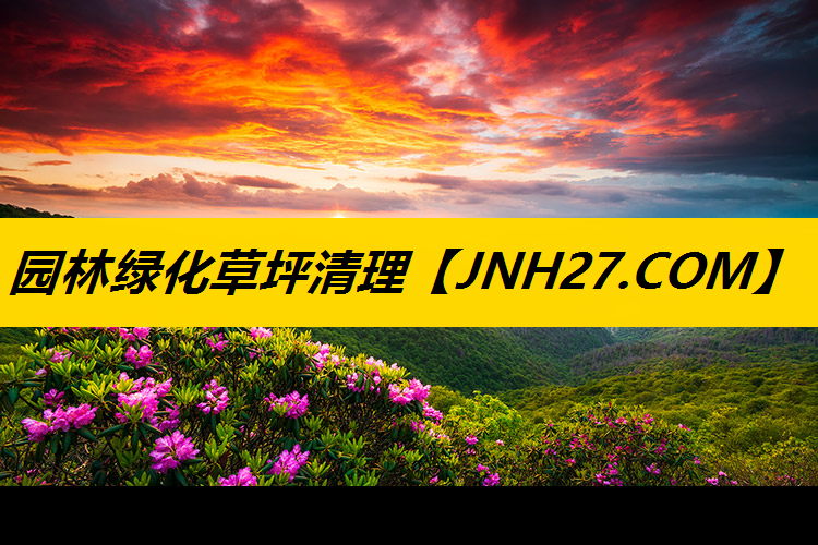 园林绿化草坪清理
