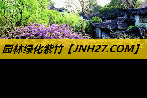 园林绿化紫竹