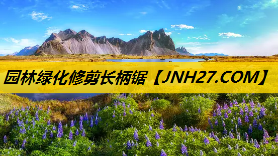 园林绿化修剪长柄锯