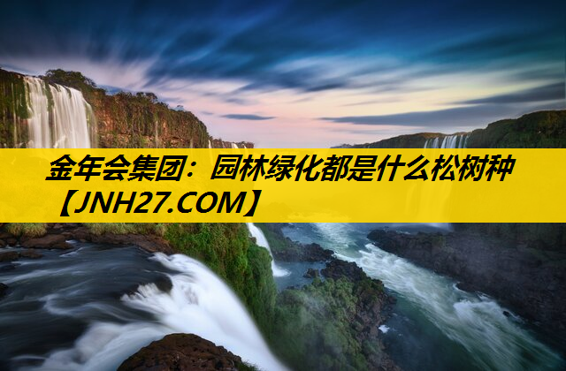 园林绿化都是什么松树种