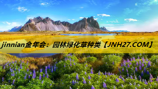 园林绿化草种类