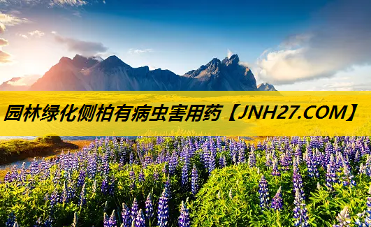 园林绿化侧柏有病虫害用药