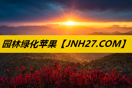 园林绿化苹果
