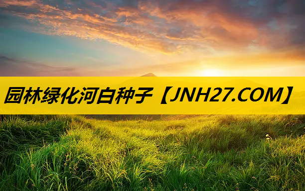 园林绿化河白种子