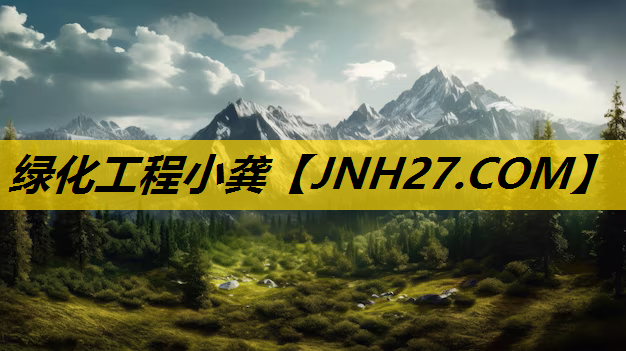 绿化工程小龚