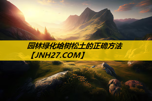 园林绿化给树松土的正确方法