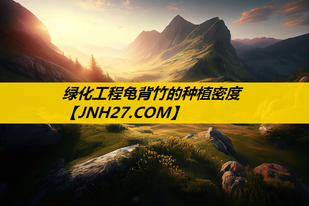 绿化工程龟背竹的种植密度