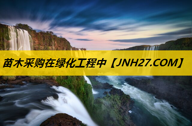 苗木采购在绿化工程中