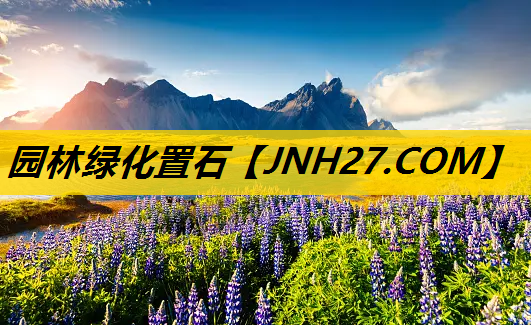 园林绿化置石
